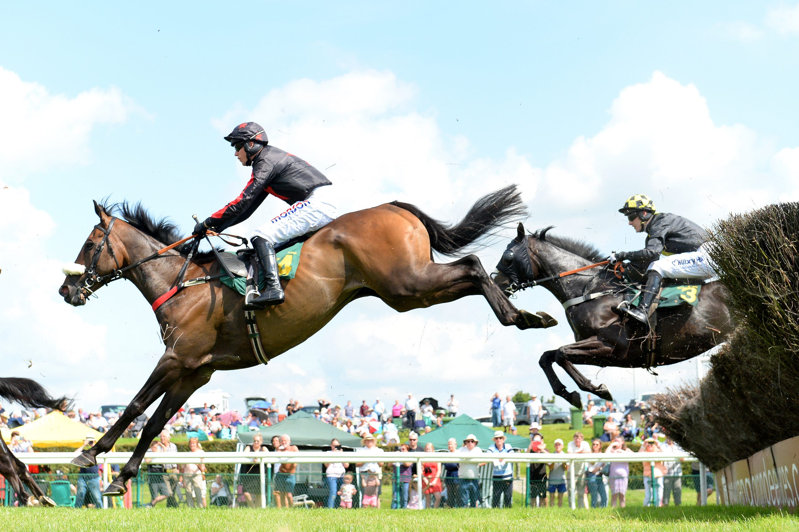 Ladies Day thumbnail image