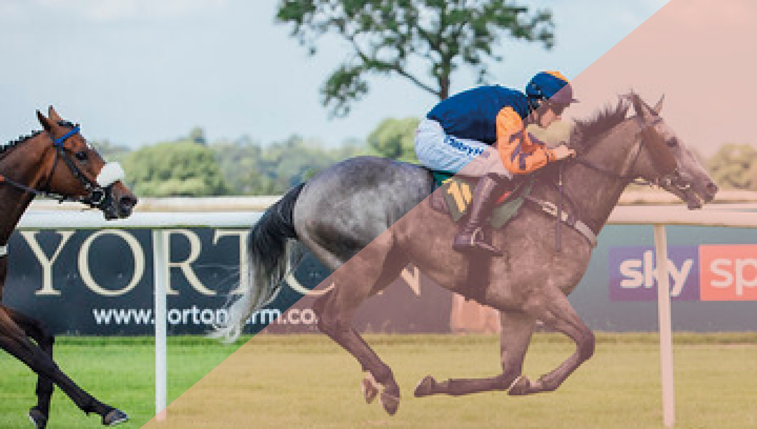 Ladies Day 2022 thumbnail image