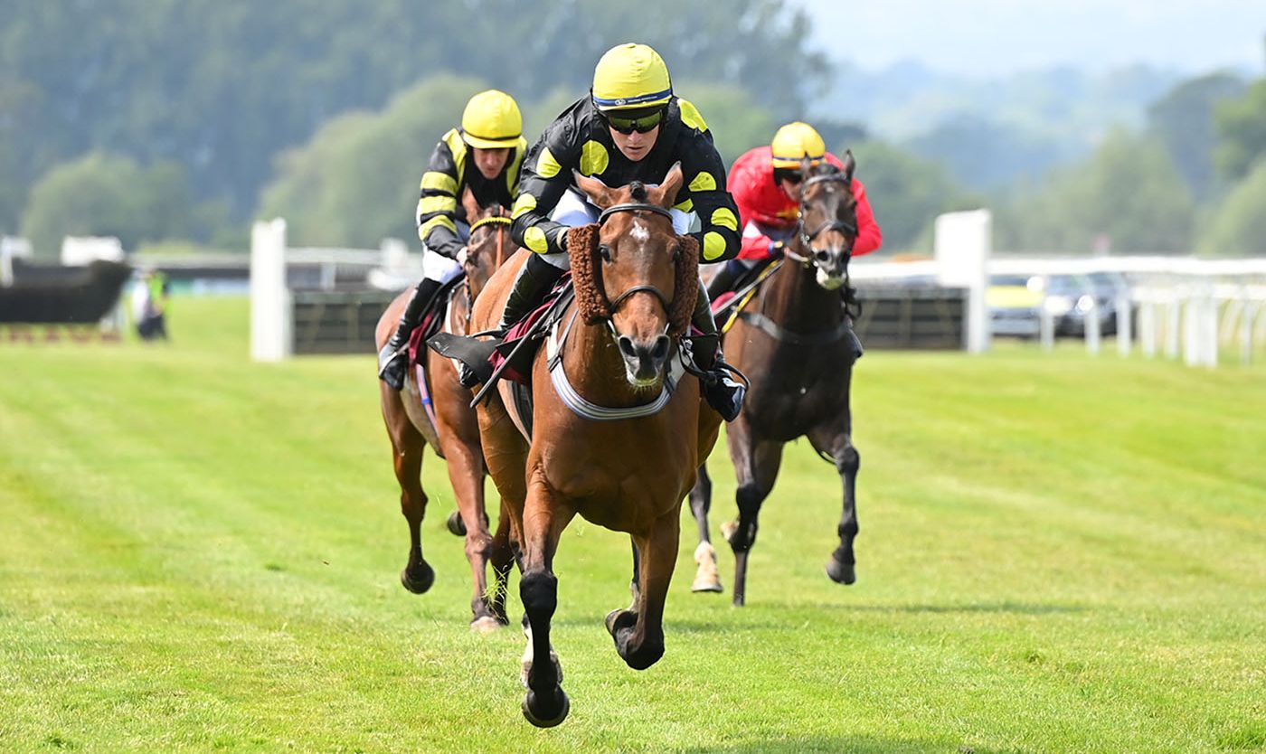 Summer Saturday thumbnail image