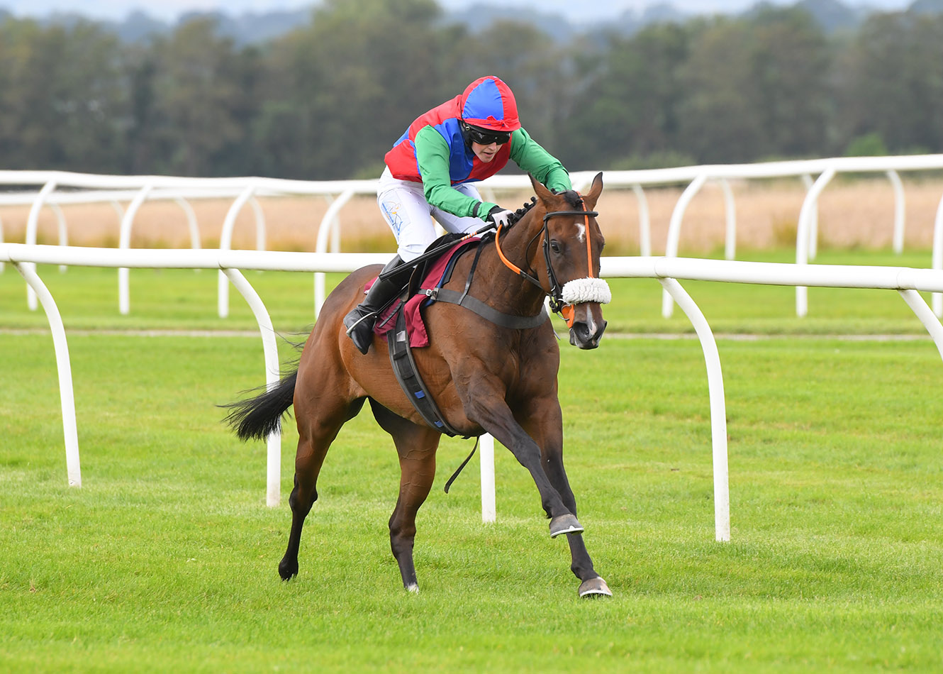 Ladies Day 2023 thumbnail image