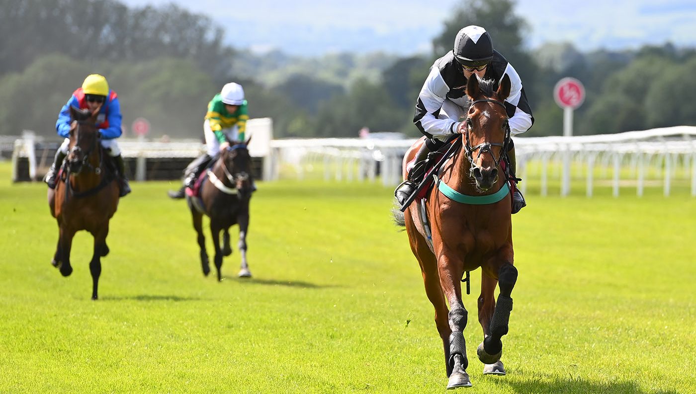 Ladies Day In Partnership With Cheshire Oaks Designer Outlet 2024 thumbnail image