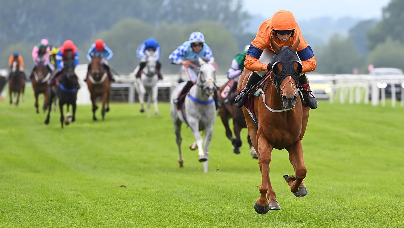 Wrexham Day in partnership with Wrexham Lager thumbnail image