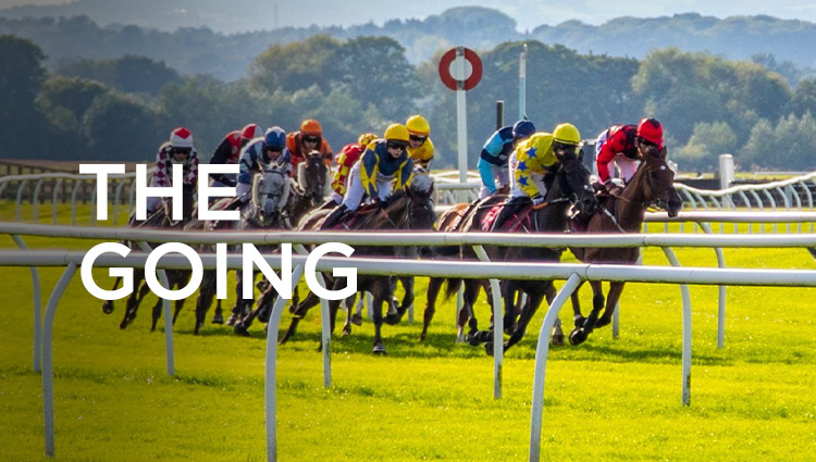 Hello world! thumbnail image