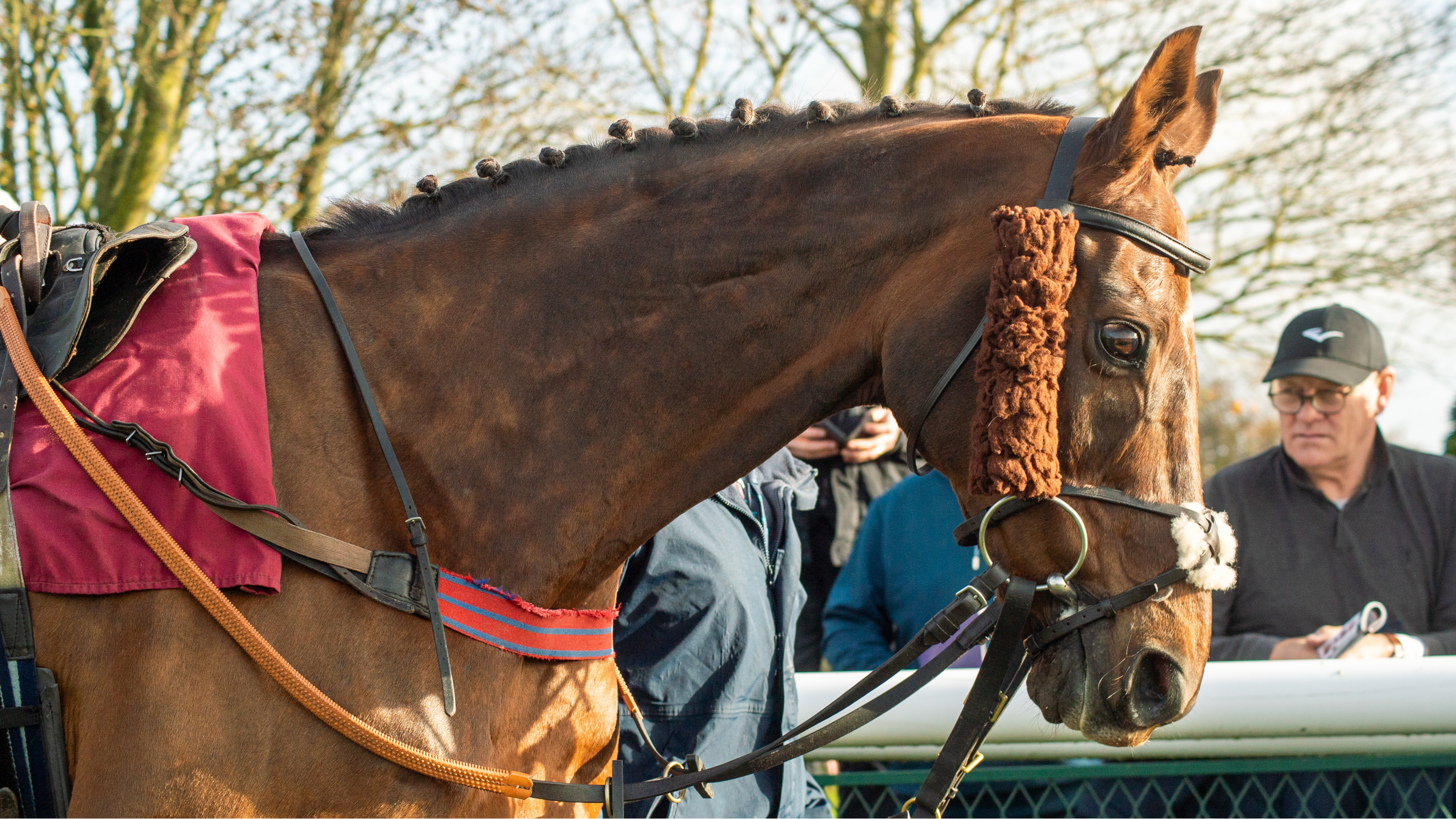 Countryside Day returns to Bangor-on-Dee Racecourse. Now proudly partnered with Crest Environmental Services thumbnail image